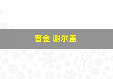 普金 谢尔盖